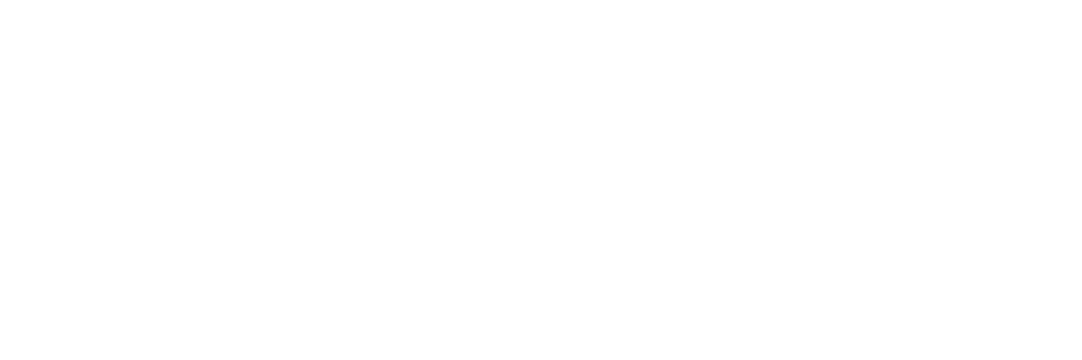 EnjoyVenture Logo